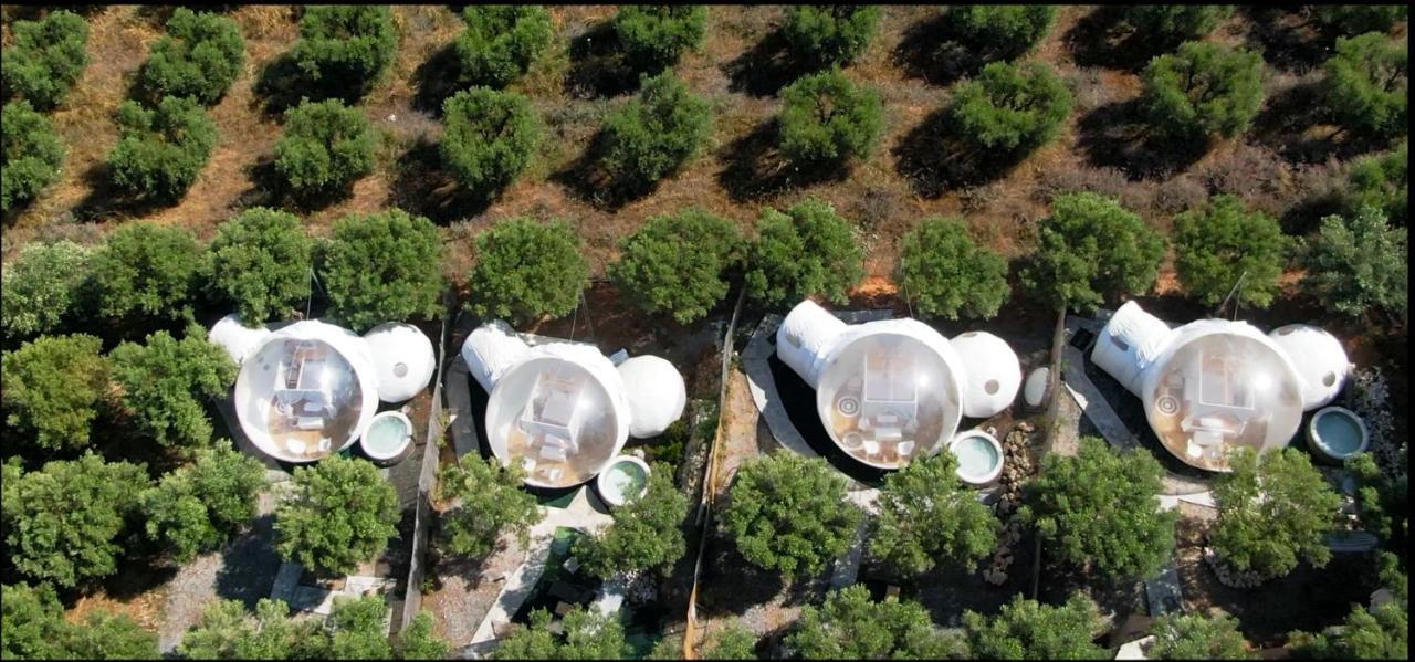 Bubble Tent 호텔 네아 모우다니아 외부 사진